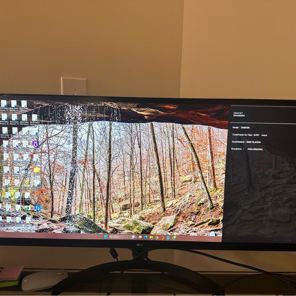LG UltraWide Monitor - Black Frame